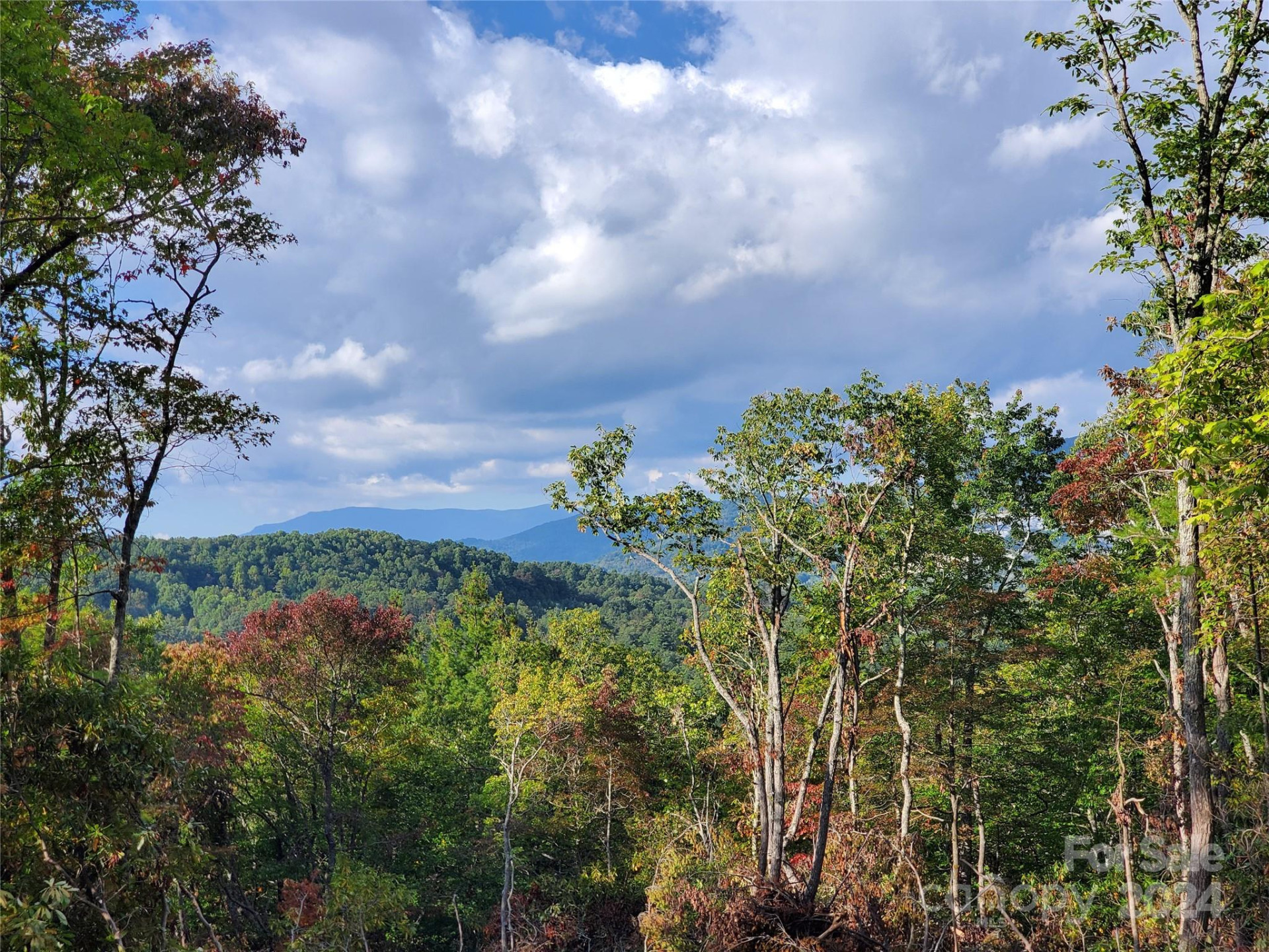 TBD Parkwood Hill Road - Photo 39