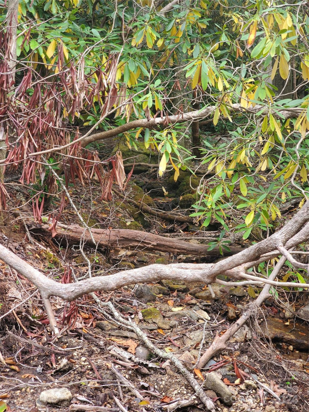 TBD Parkwood Hill Road - Photo 40