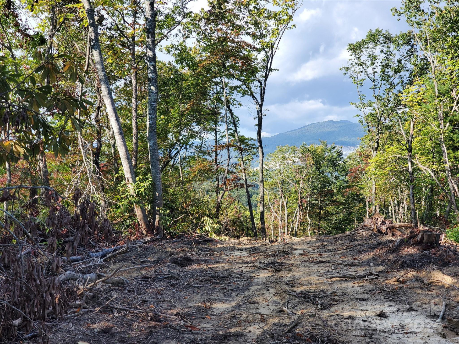 TBD Parkwood Hill Road - Photo 5