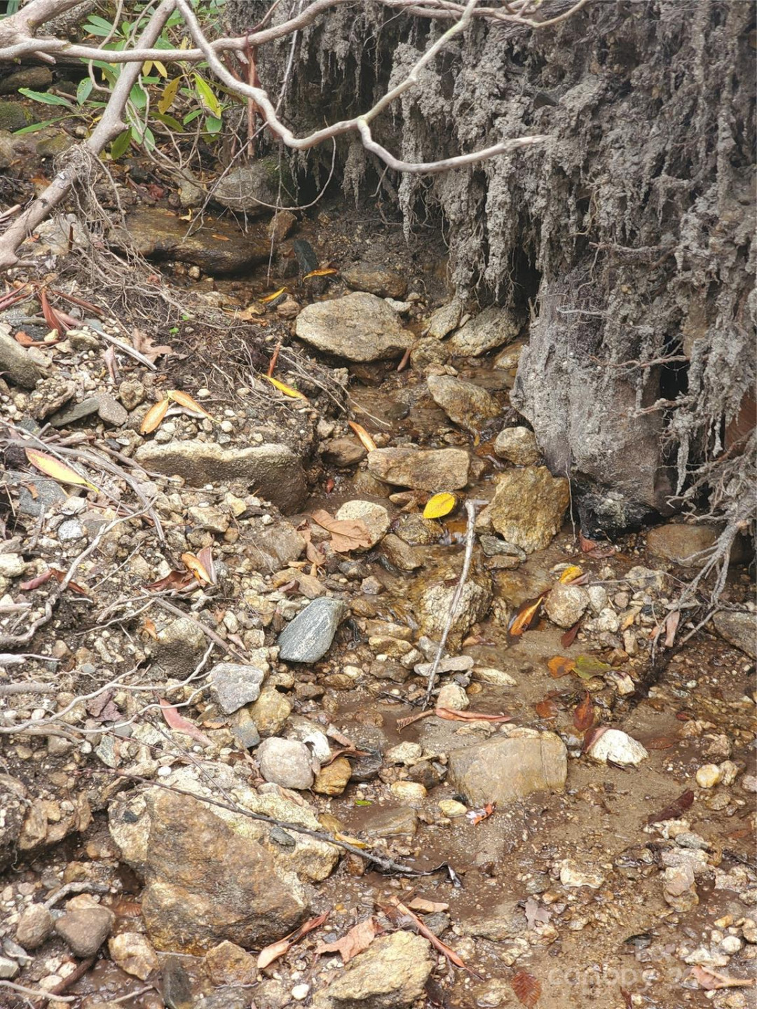 TBD Parkwood Hill Road - Photo 41