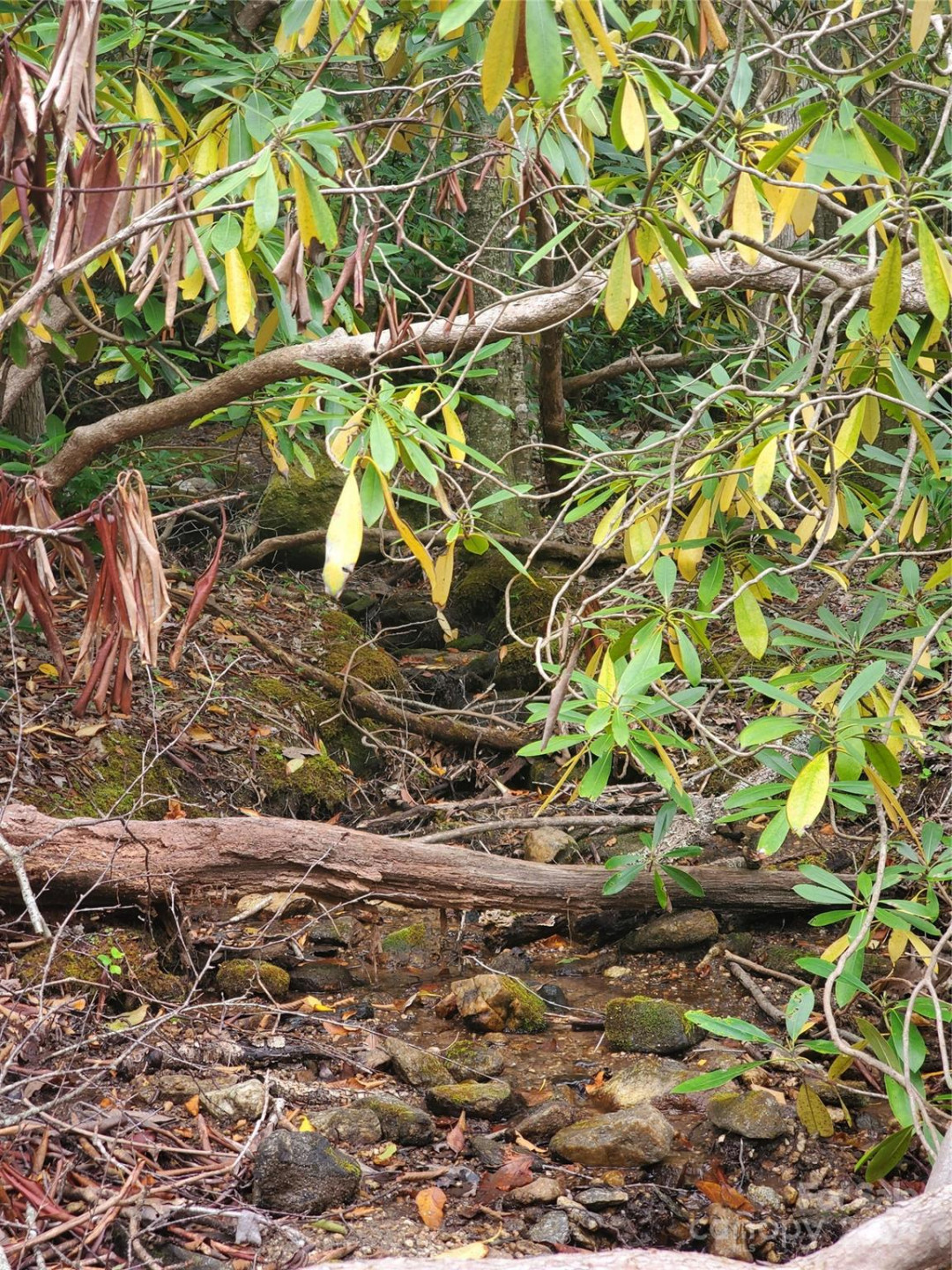 TBD Parkwood Hill Road - Photo 42