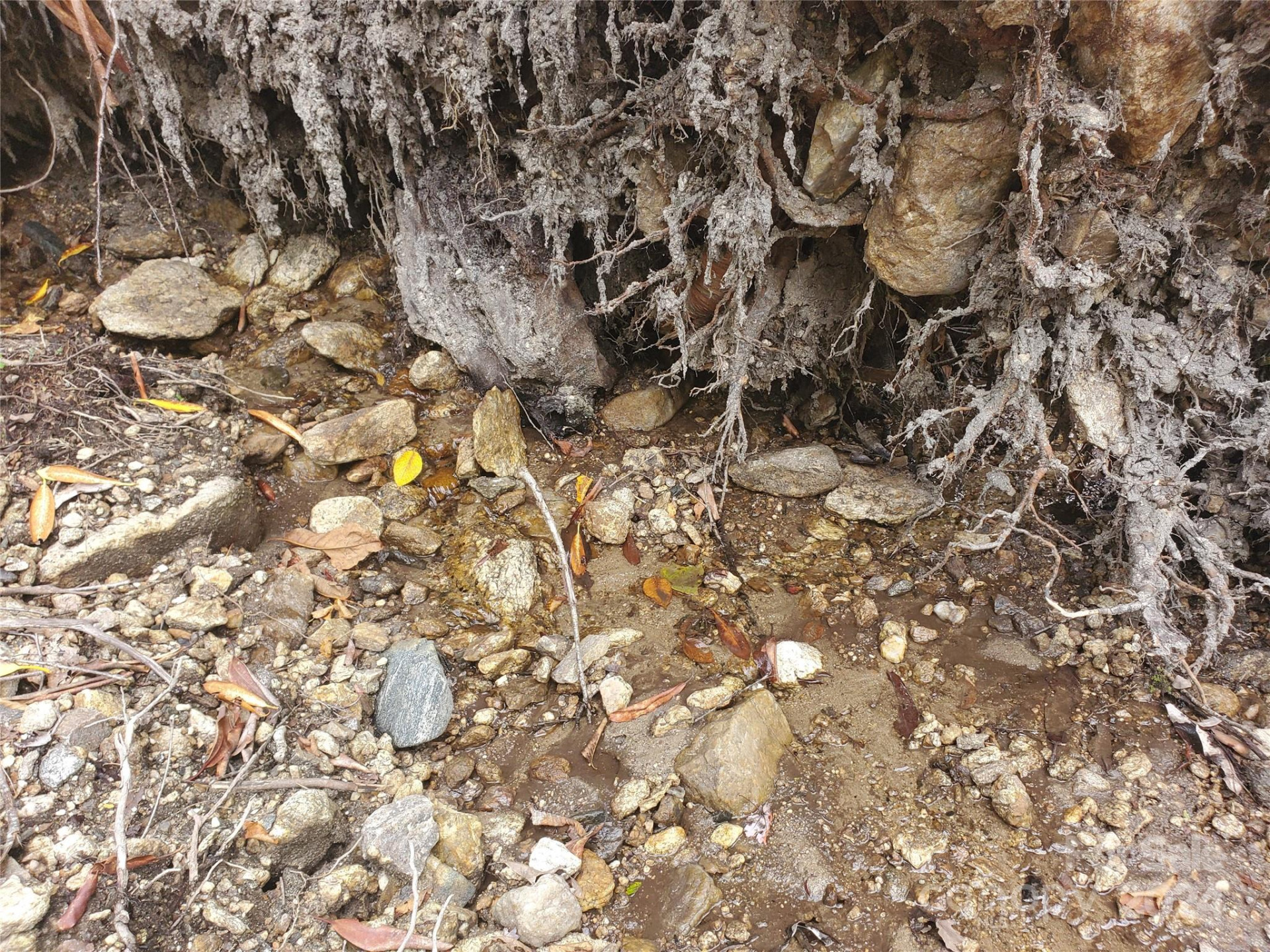 TBD Parkwood Hill Road - Photo 43