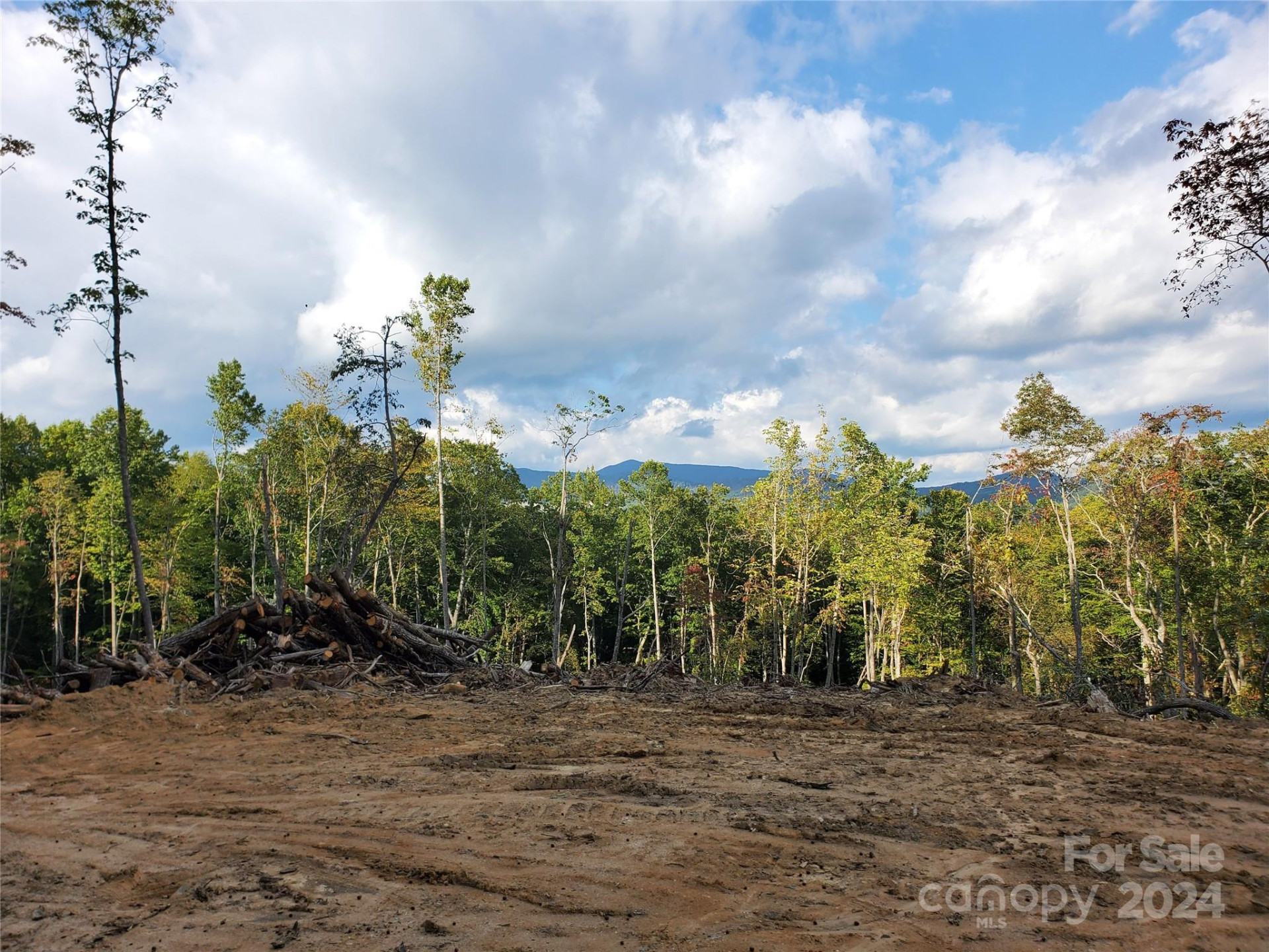 TBD Parkwood Hill Road - Photo 44