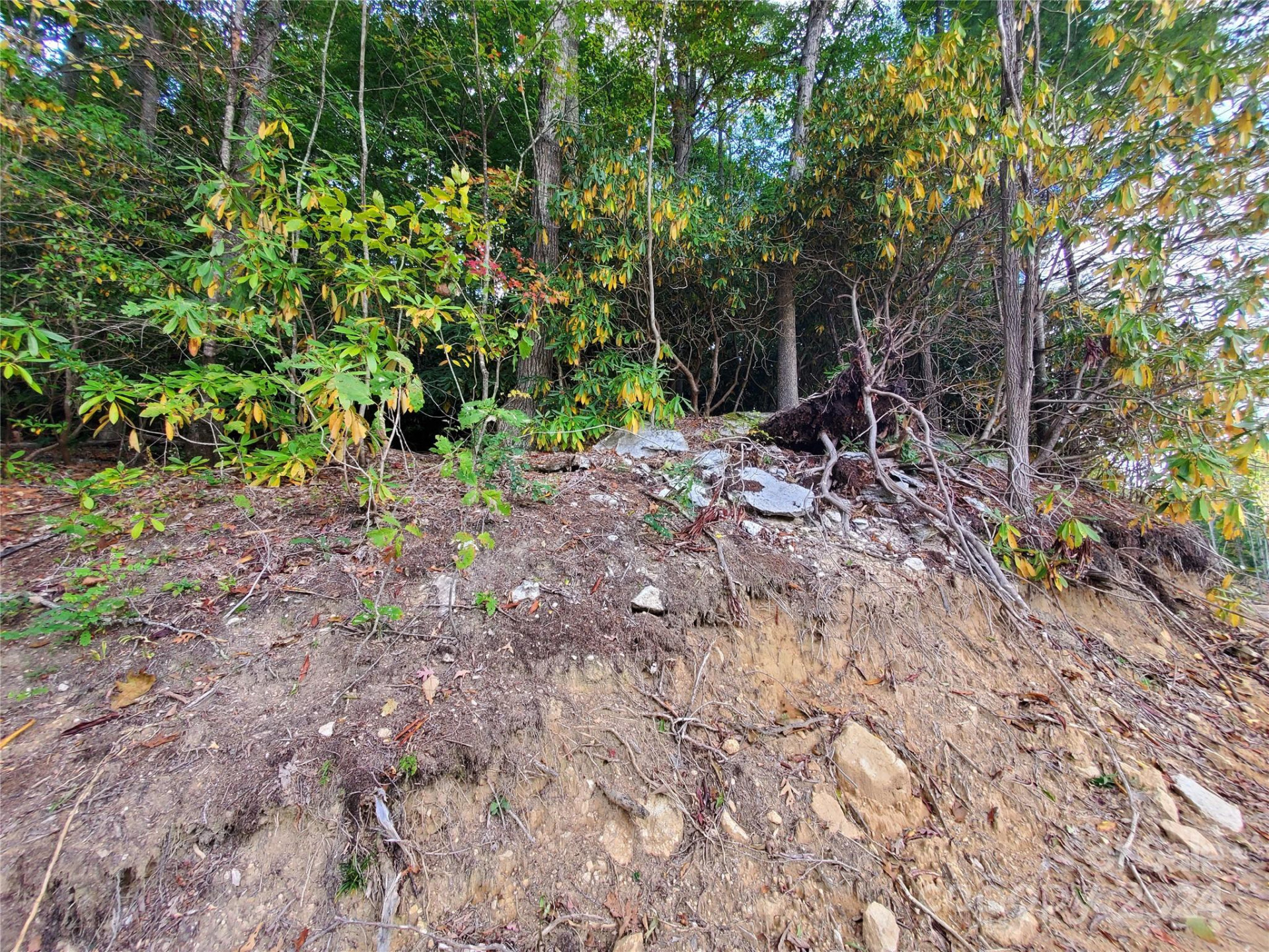 TBD Parkwood Hill Road - Photo 47