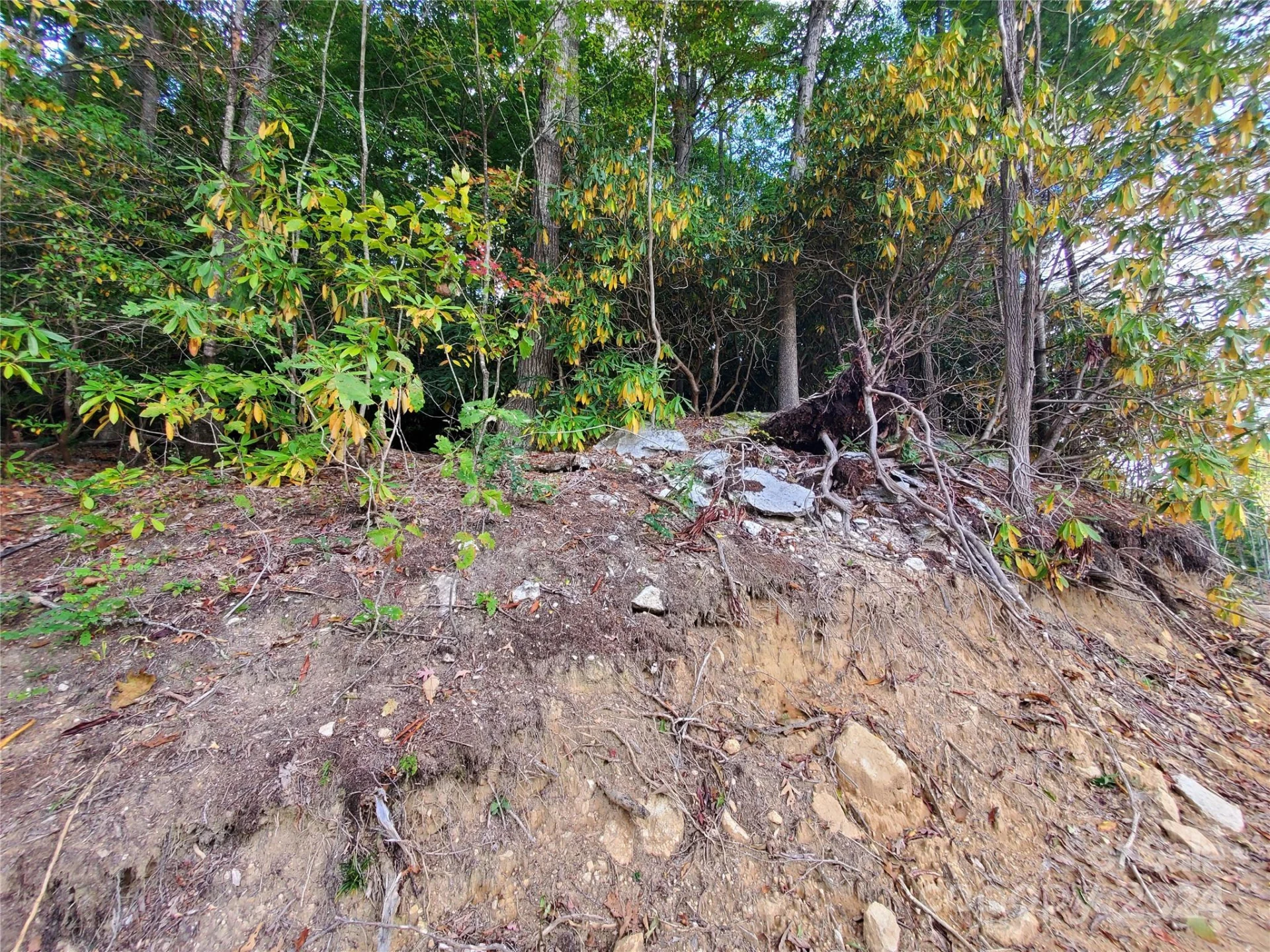 TBD Parkwood Hill Road - Photo 47