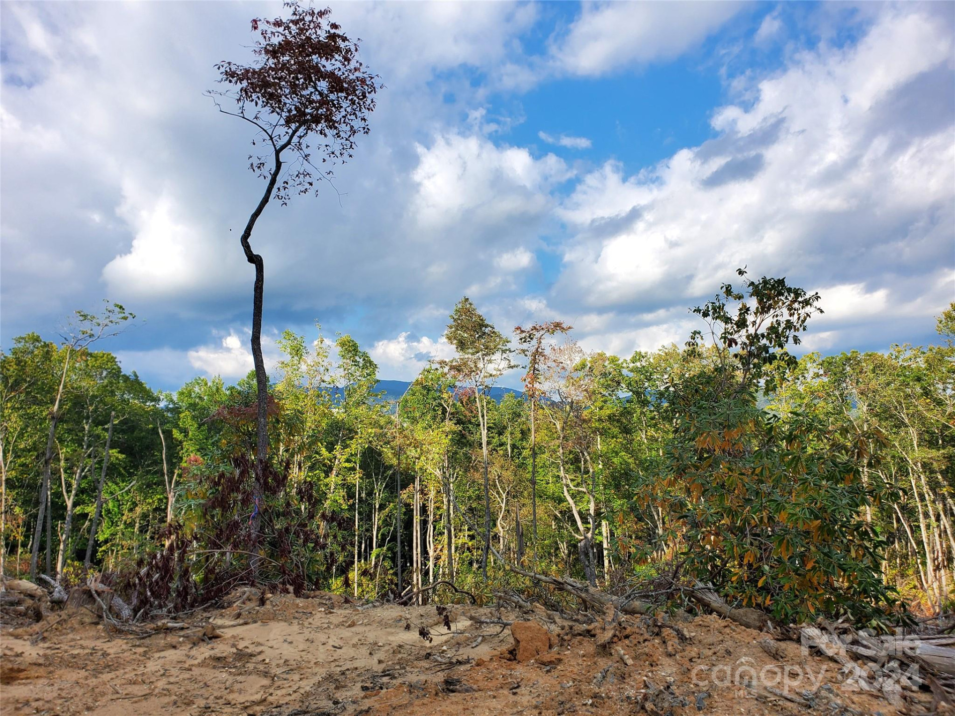 TBD Parkwood Hill Road - Photo 7