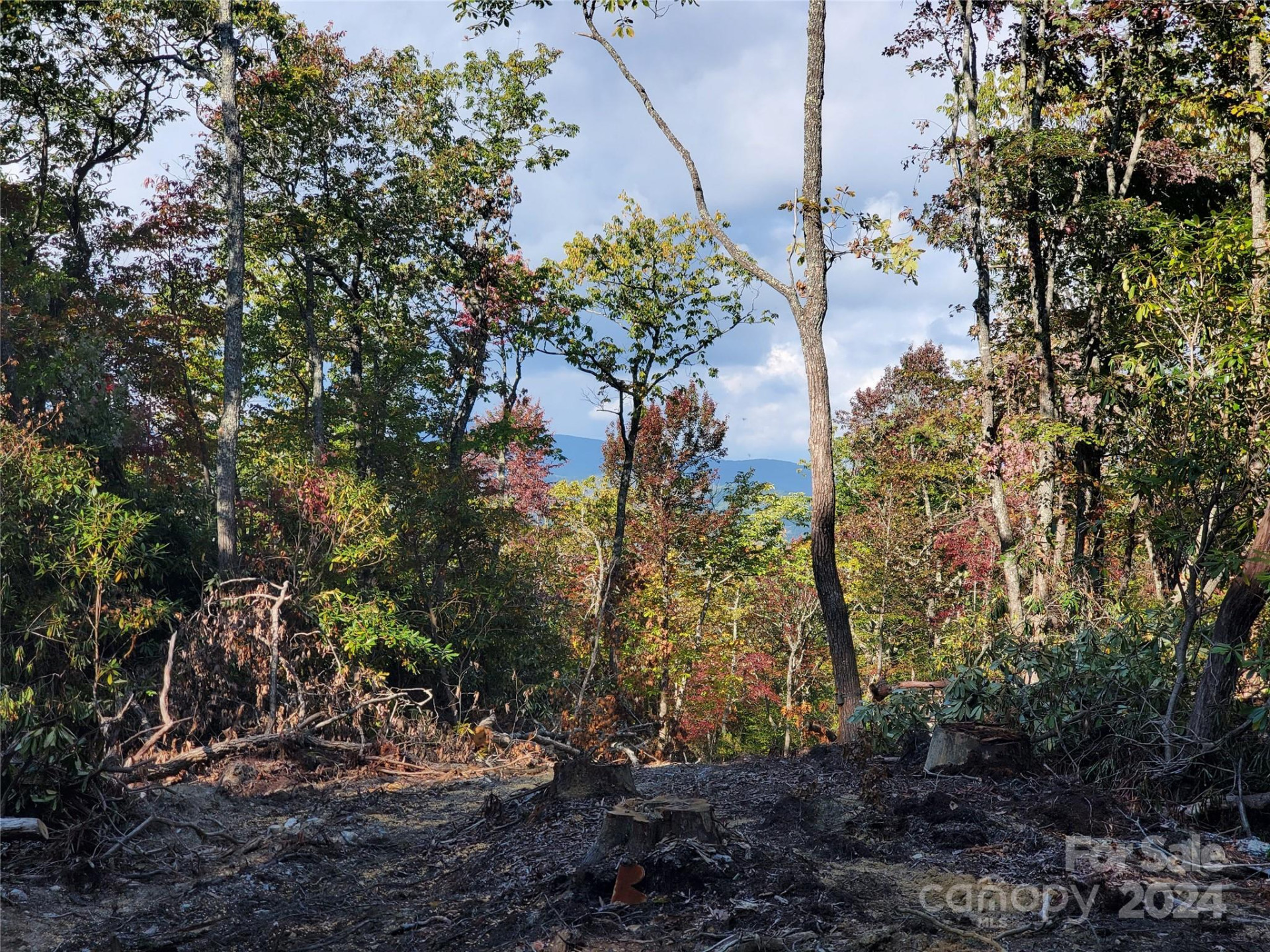 TBD Parkwood Hill Road - Photo 9