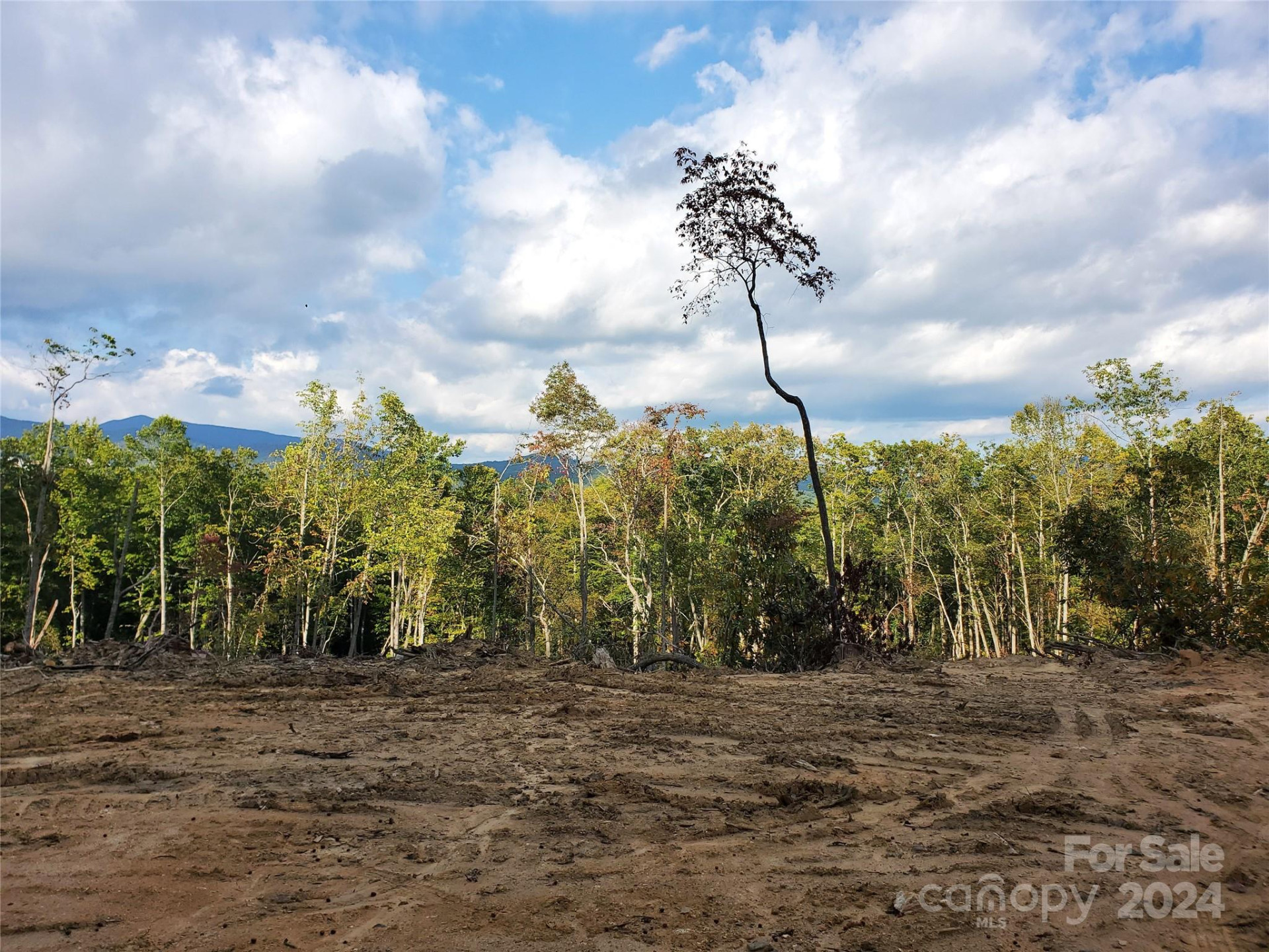 TBD Parkwood Hill Road - Photo 10