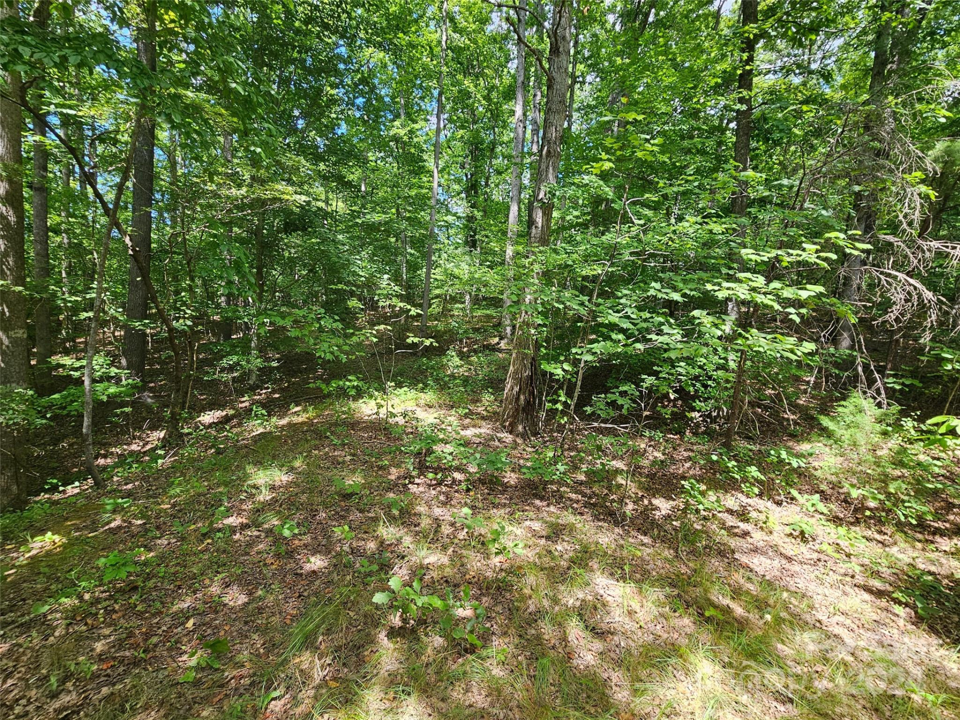 0 Broyhill Road - Photo 2