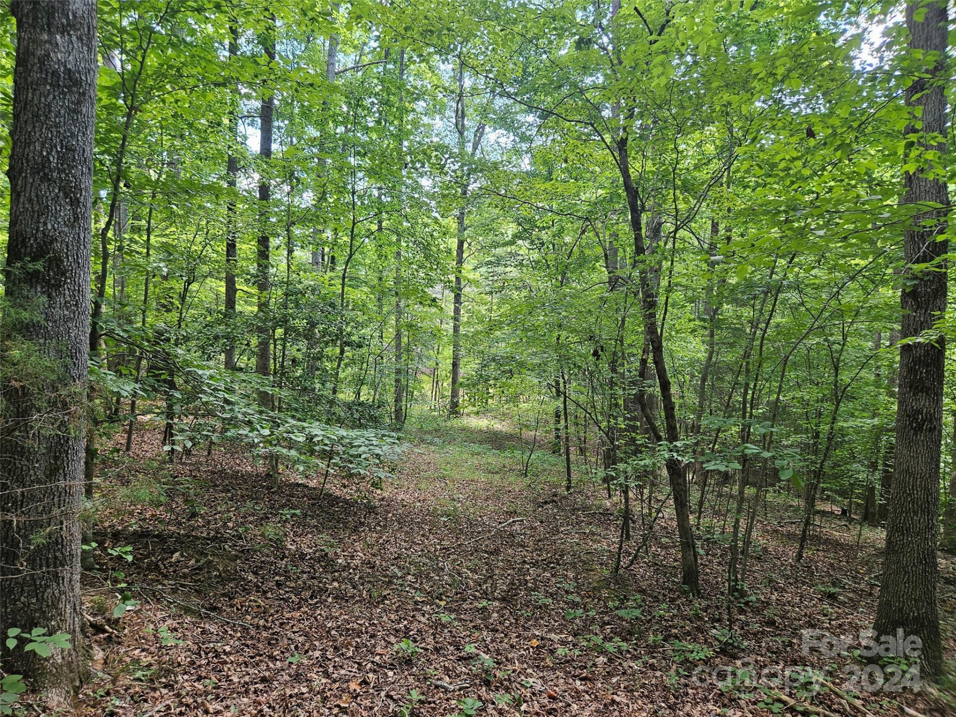 0 Broyhill Road - Photo 11