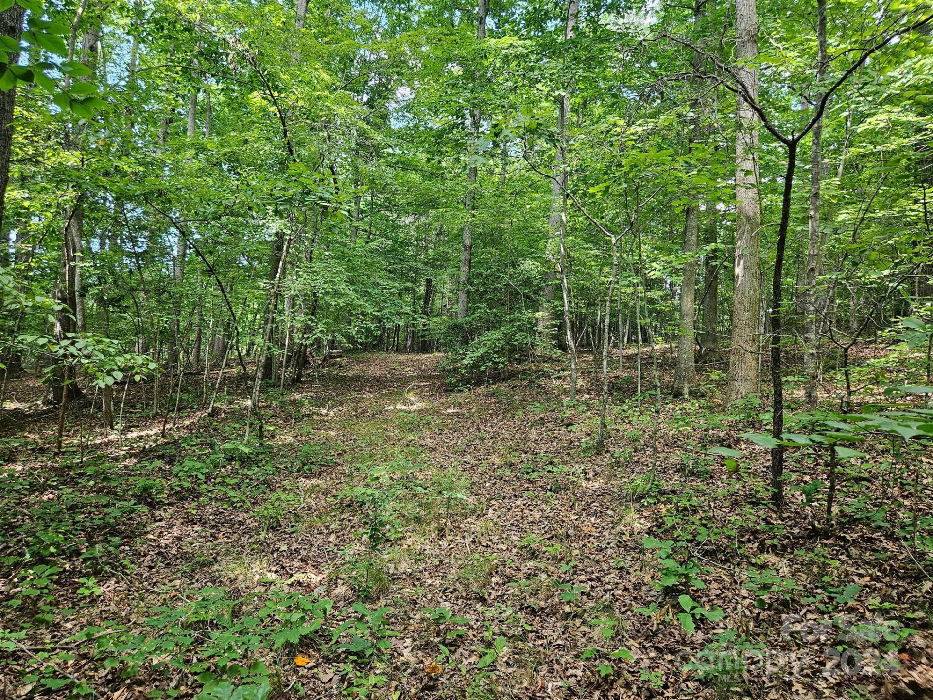 0 Broyhill Road - Photo 12