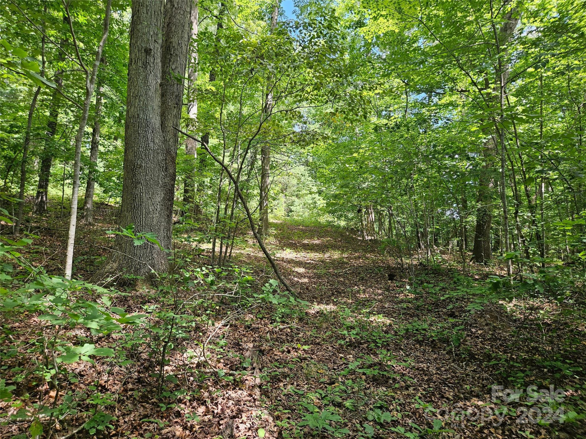 0 Broyhill Road - Photo 14