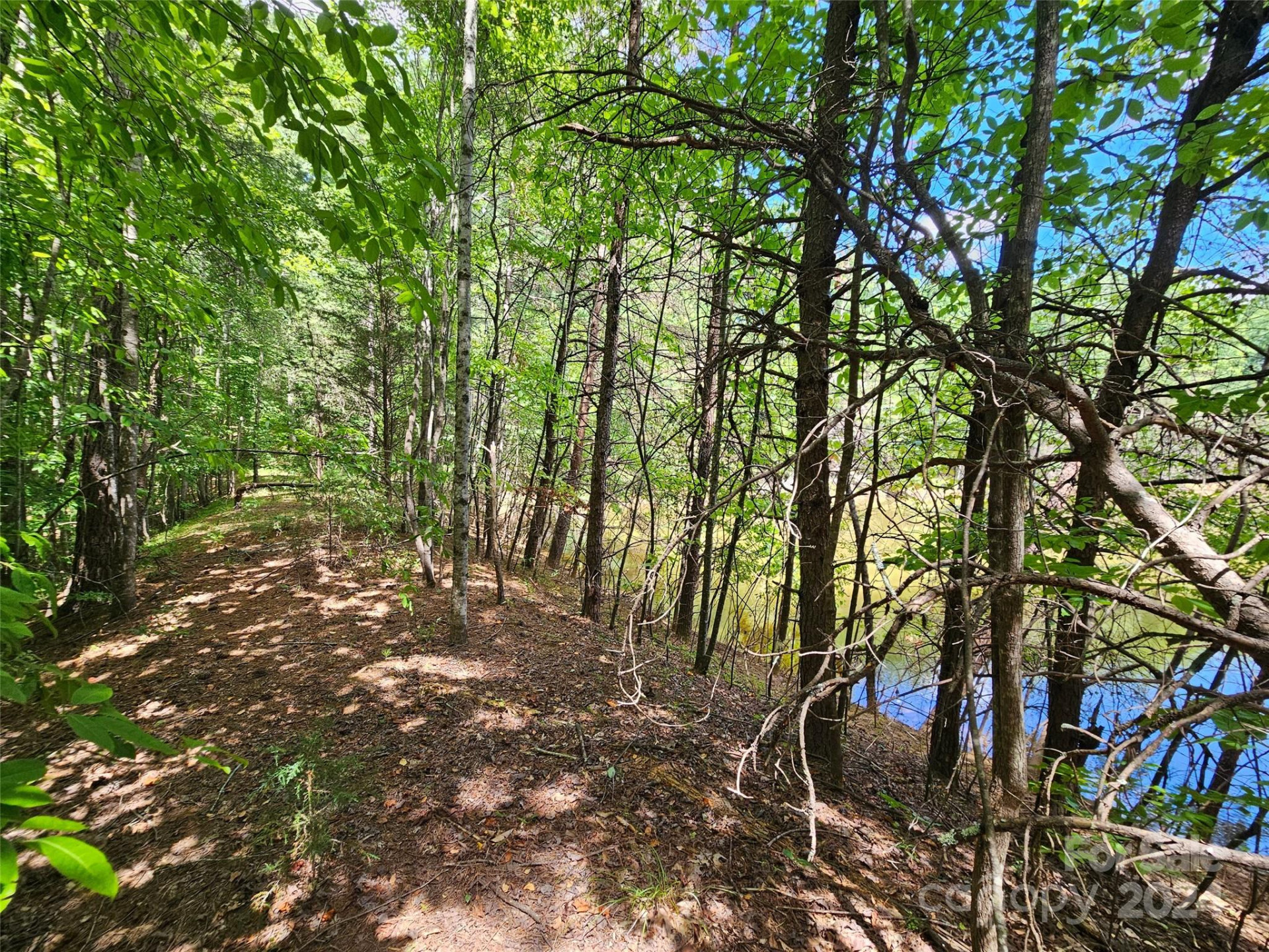 0 Broyhill Road - Photo 17