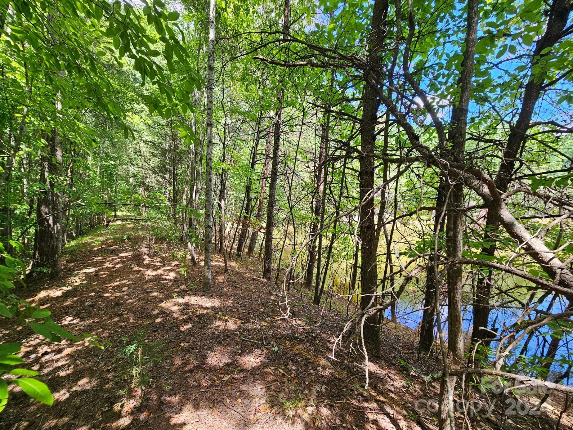 0 Broyhill Road - Photo 17