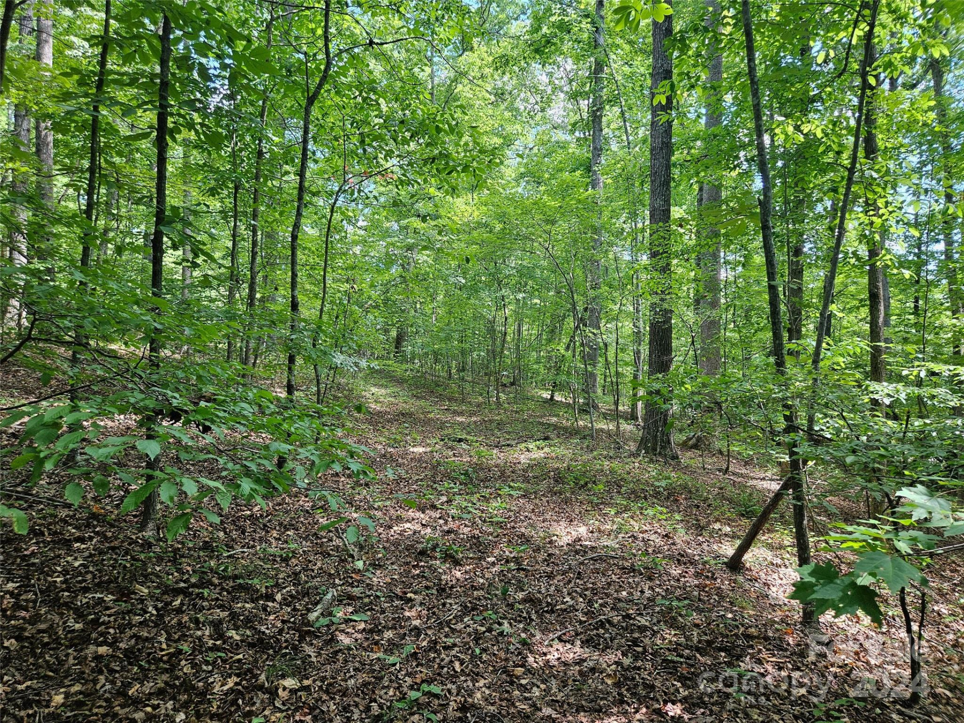 0 Broyhill Road - Photo 3