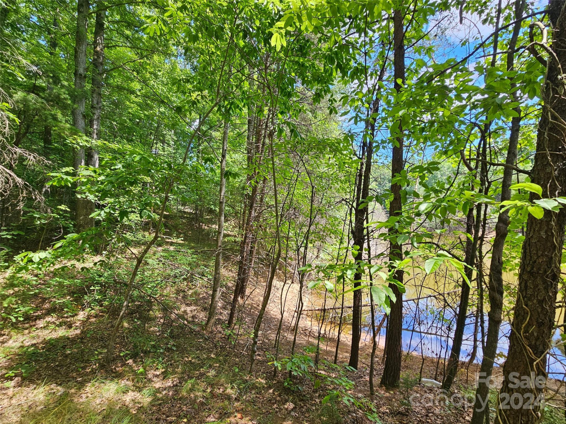 0 Broyhill Road - Photo 23