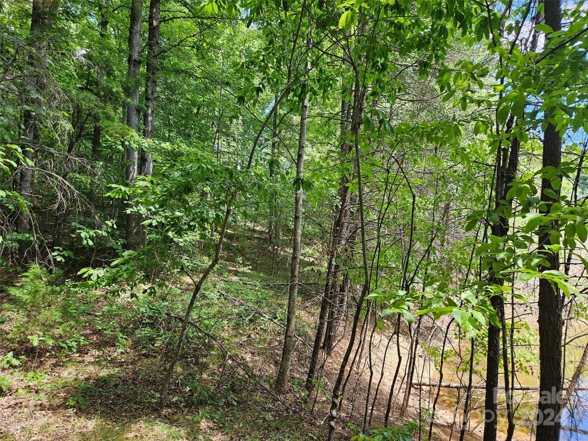 0 Broyhill Road - Photo 4