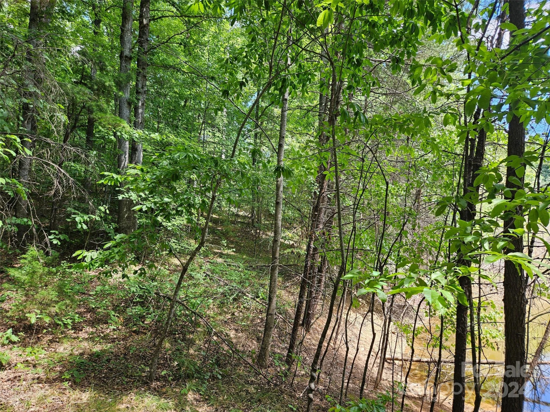 0 Broyhill Road - Photo 4