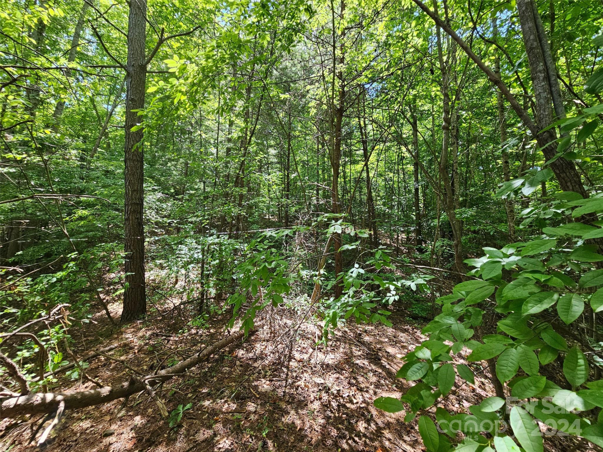 0 Broyhill Road - Photo 7