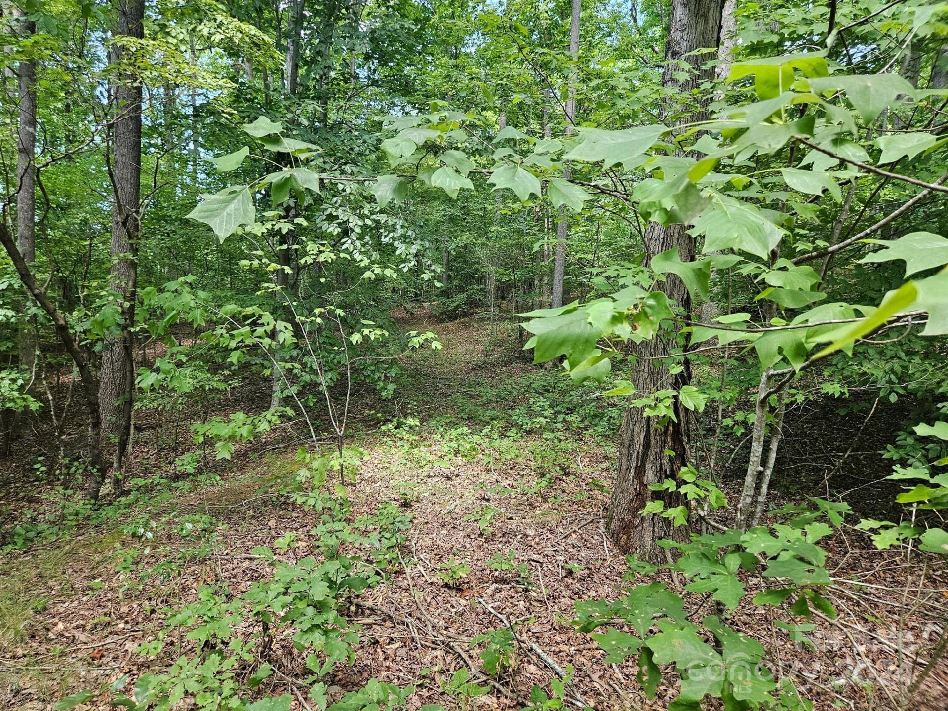 0 Broyhill Road - Photo 10