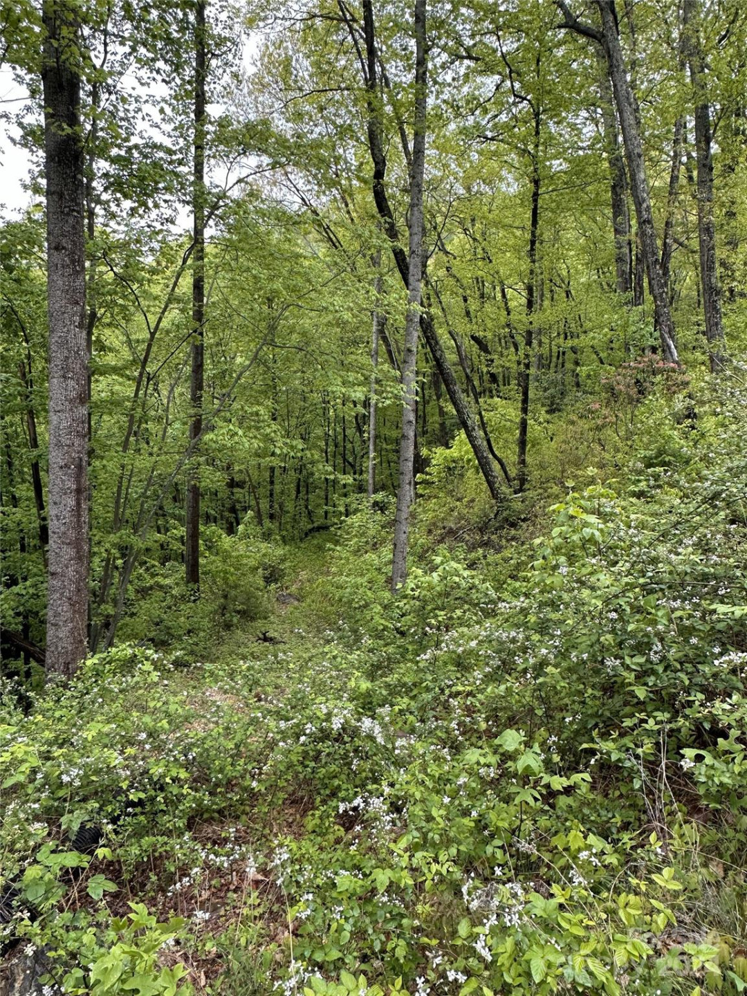 000 Shire Lane - Photo 3