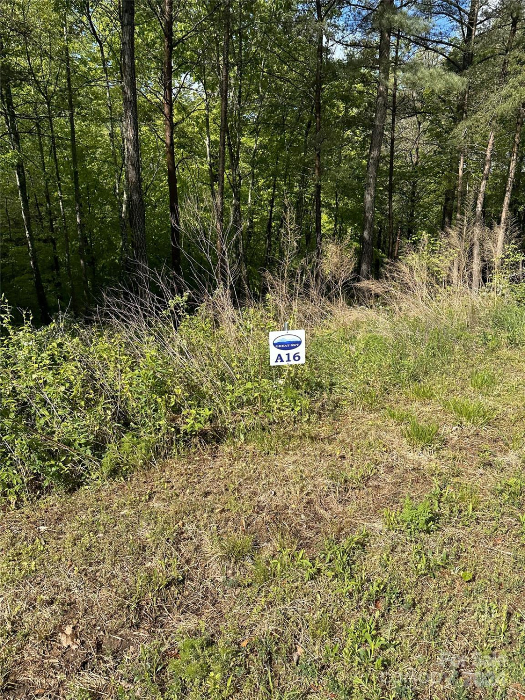 000 Shire Lane - Photo 5