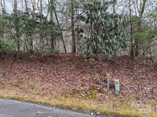 TBD Dotsuwa Court #L130&131-U26 - Photo 4