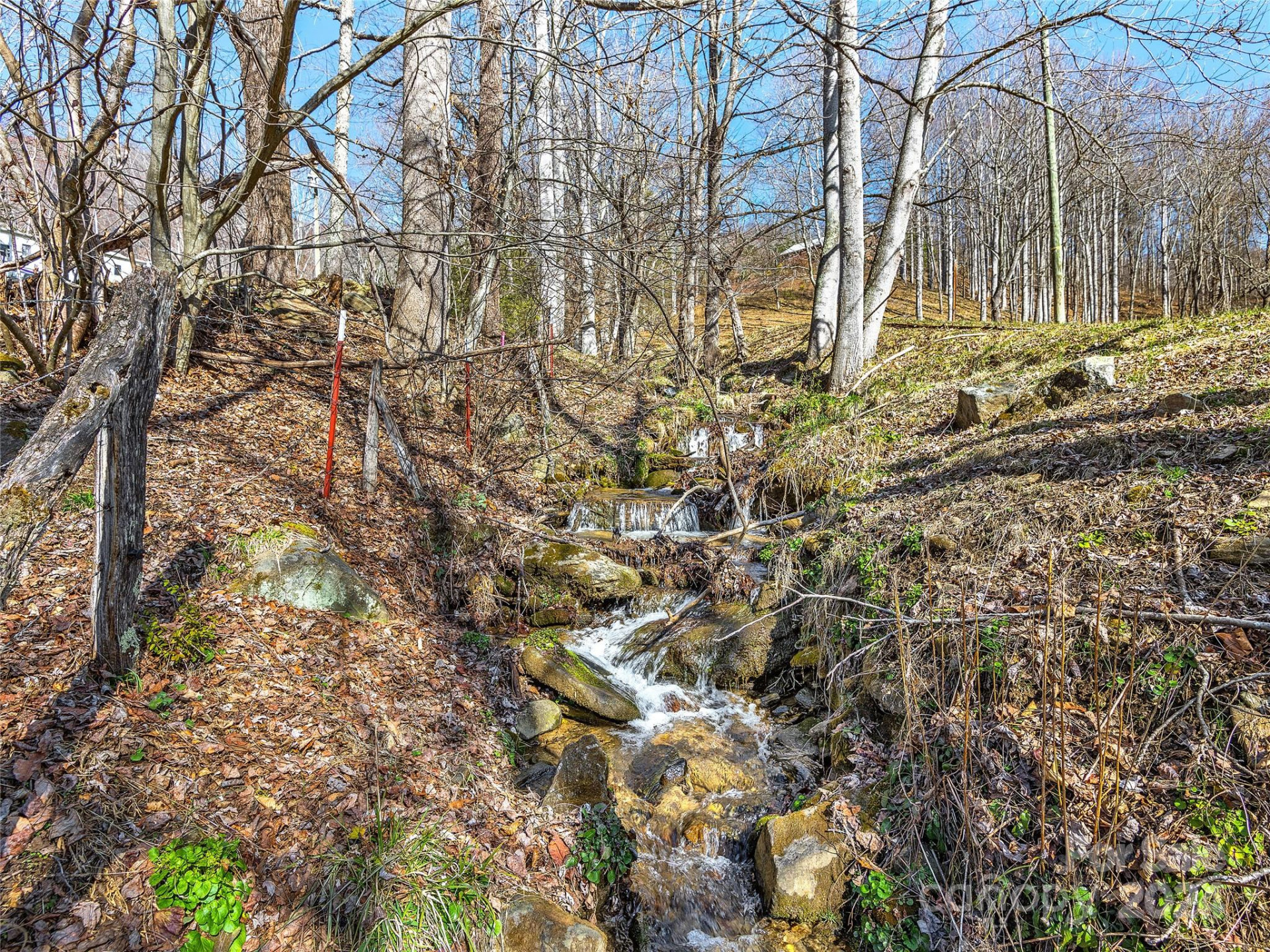 74, Tract 3 & 4 Badd Lane - Photo 13