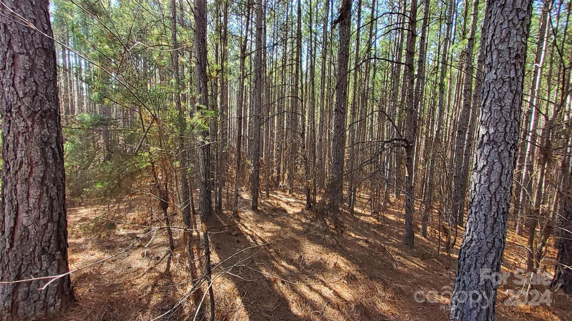 0 Sunset Drive #20 - Photo 11