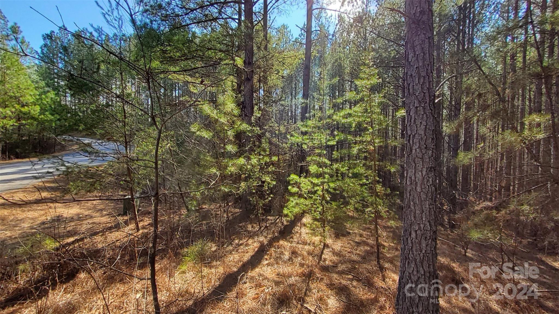 0 Sunset Drive #20 - Photo 12