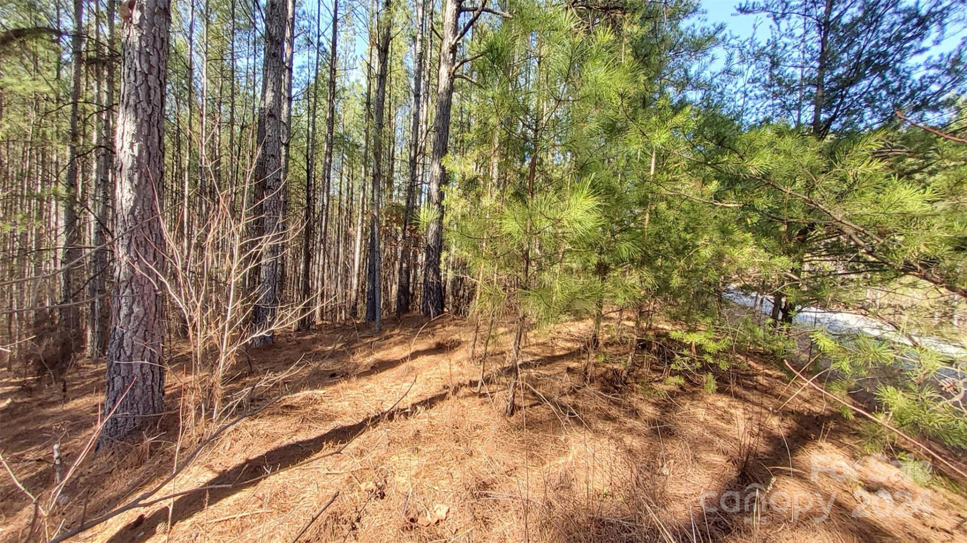 0 Sunset Drive #20 - Photo 7