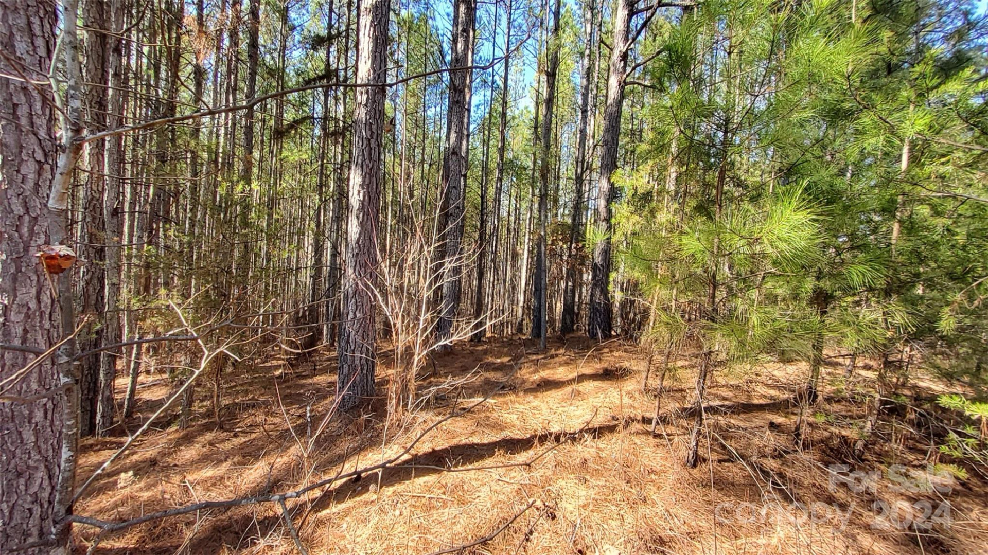 0 Sunset Drive #20 - Photo 8