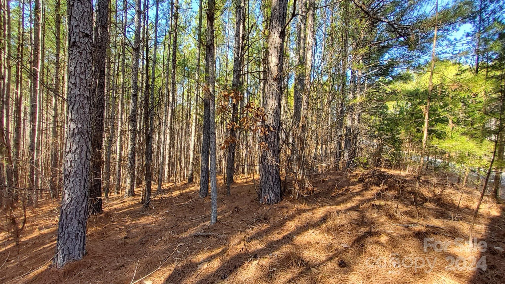 0 Sunset Drive #20 - Photo 9