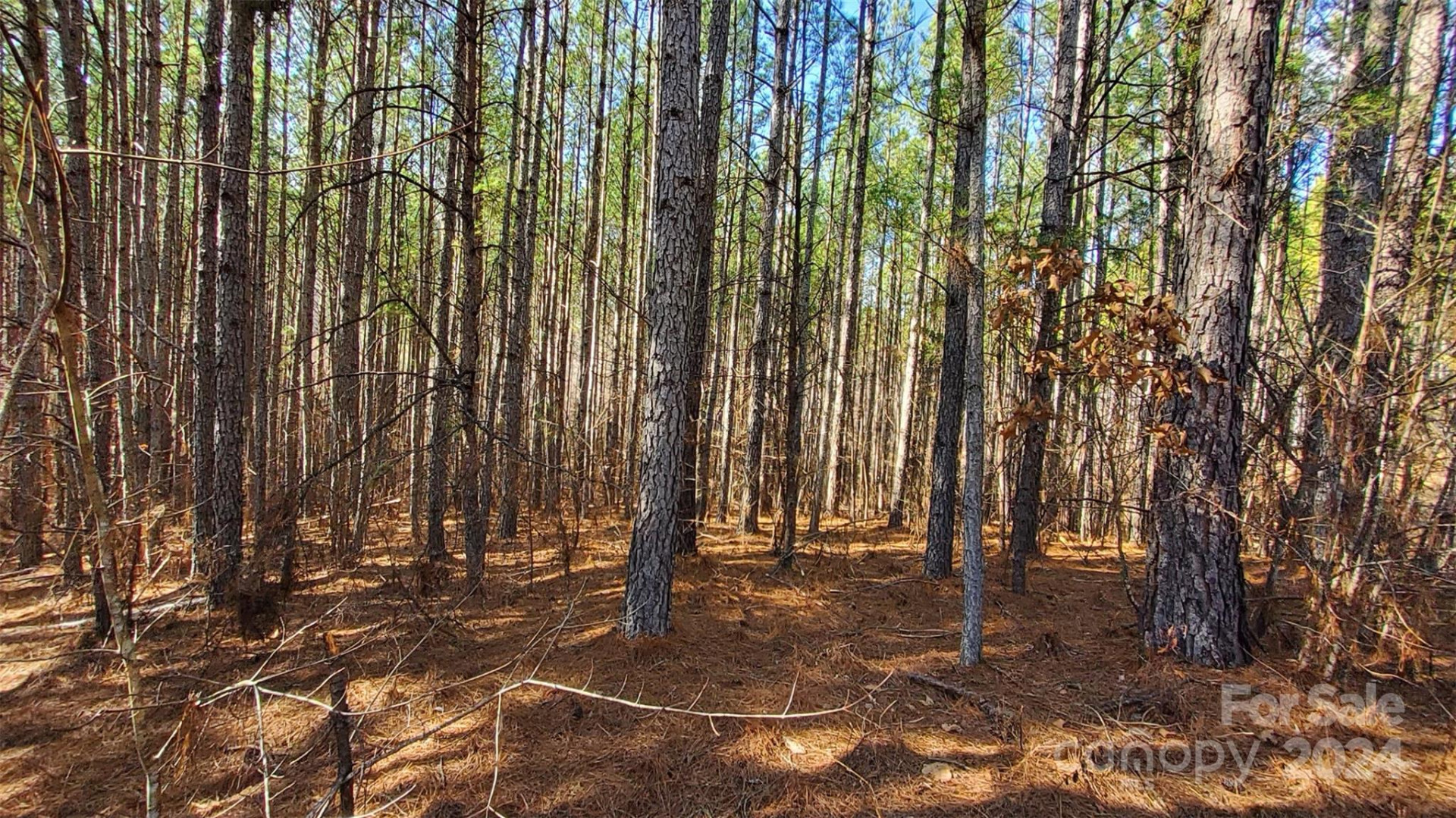 0 Sunset Drive #20 - Photo 10