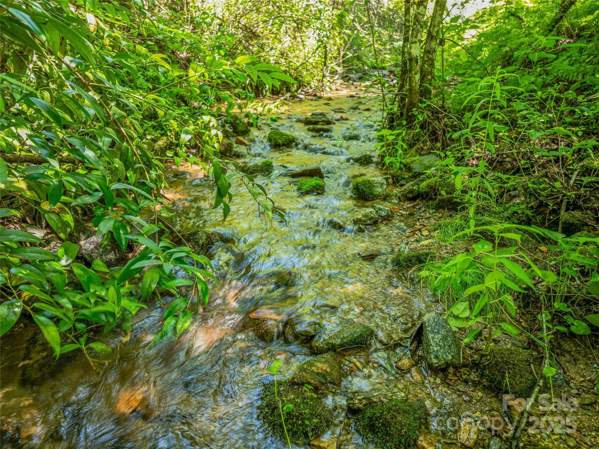 0 Frozen Creek Road - Photo 14