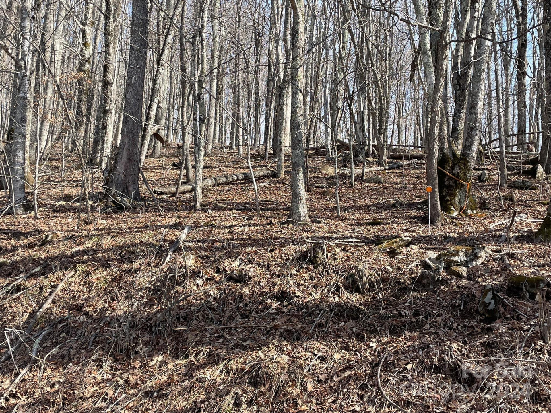 000 El Miner Drive #464 - Photo 3