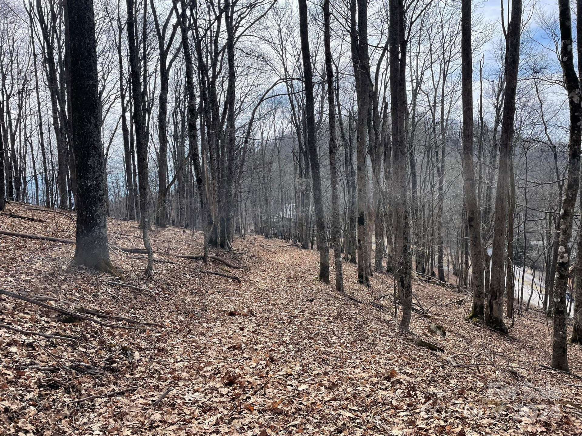 000 El Miner Drive #464 - Photo 4