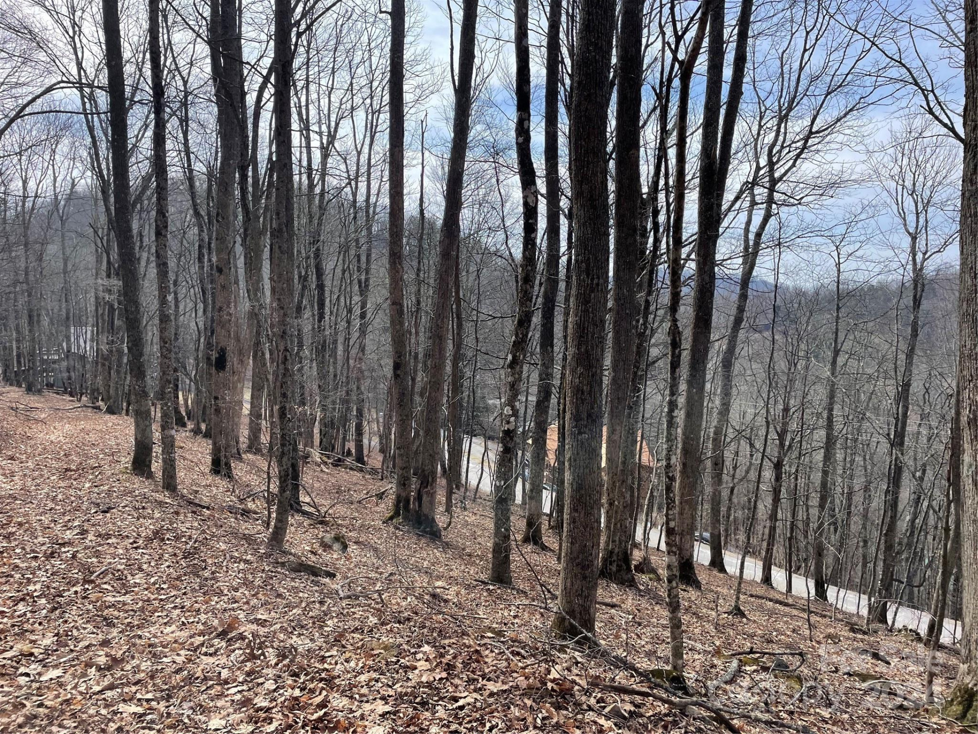 000 El Miner Drive #464 - Photo 5