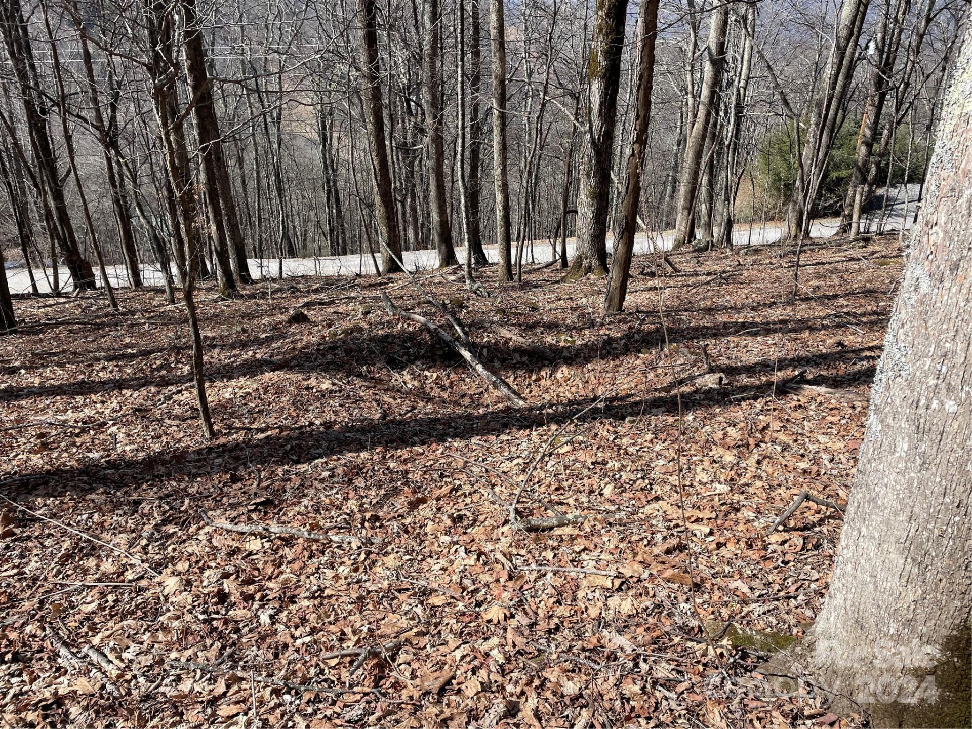 000 El Miner Drive #464 - Photo 6