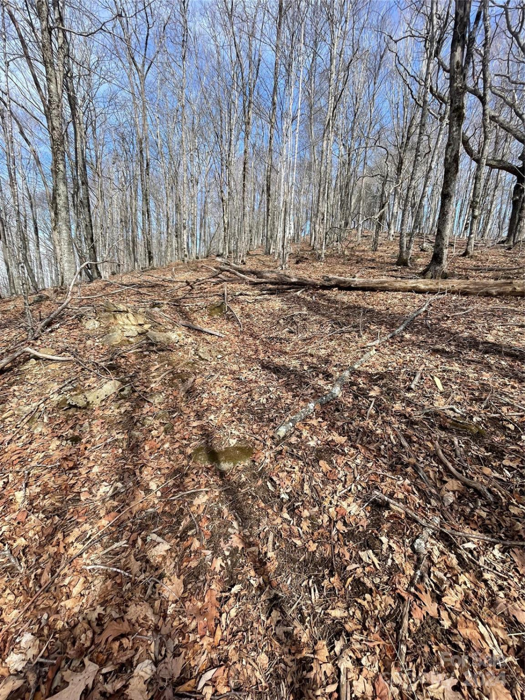 000 El Miner Drive #464 - Photo 7