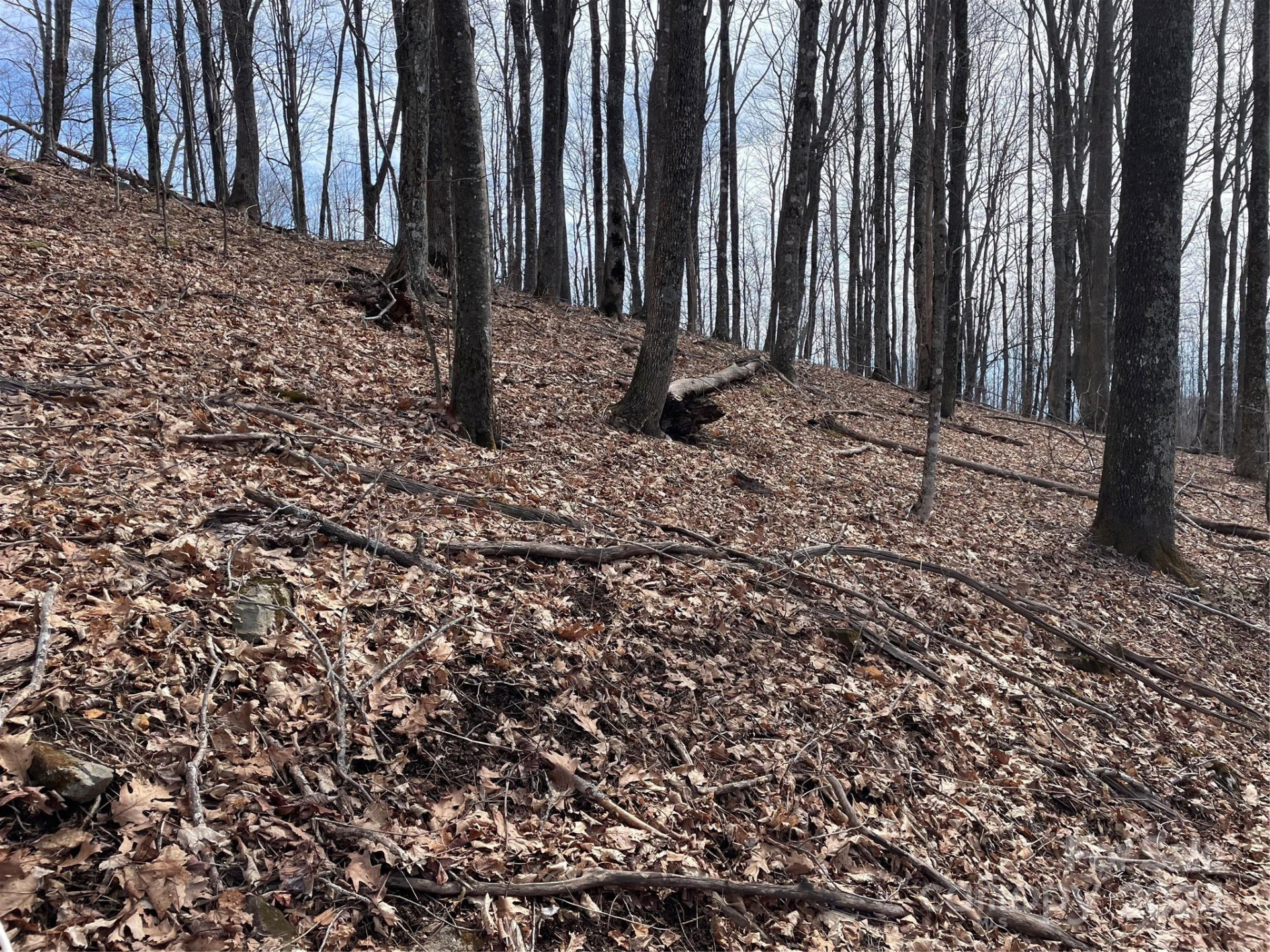 000 El Miner Drive #464 - Photo 8