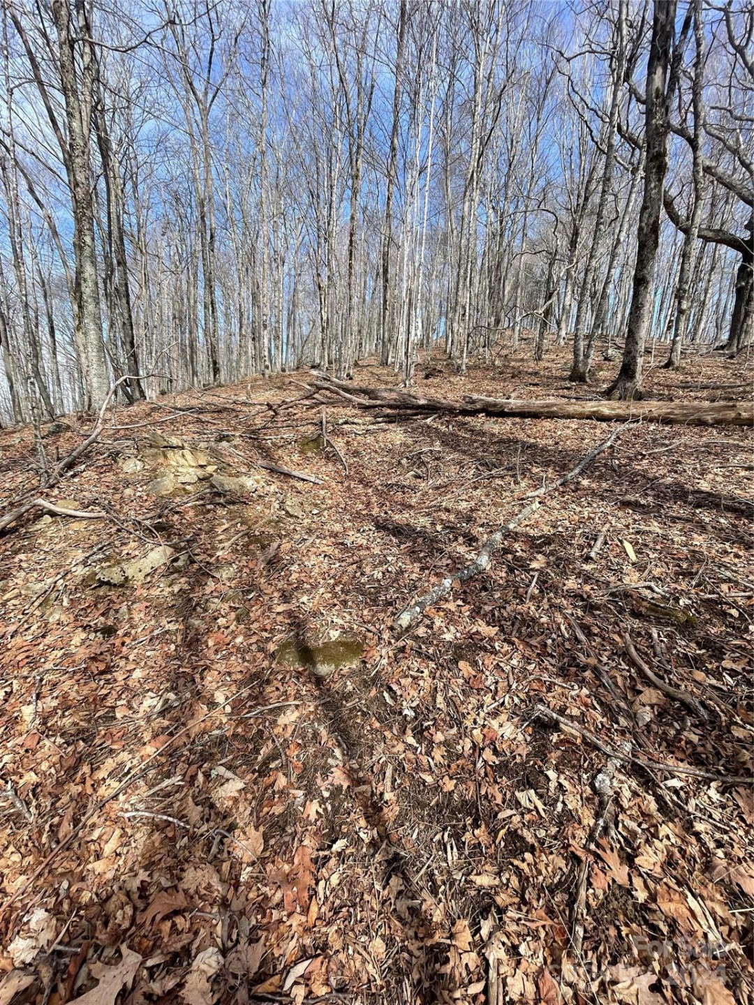 000 El Miner Drive #464 - Photo 10