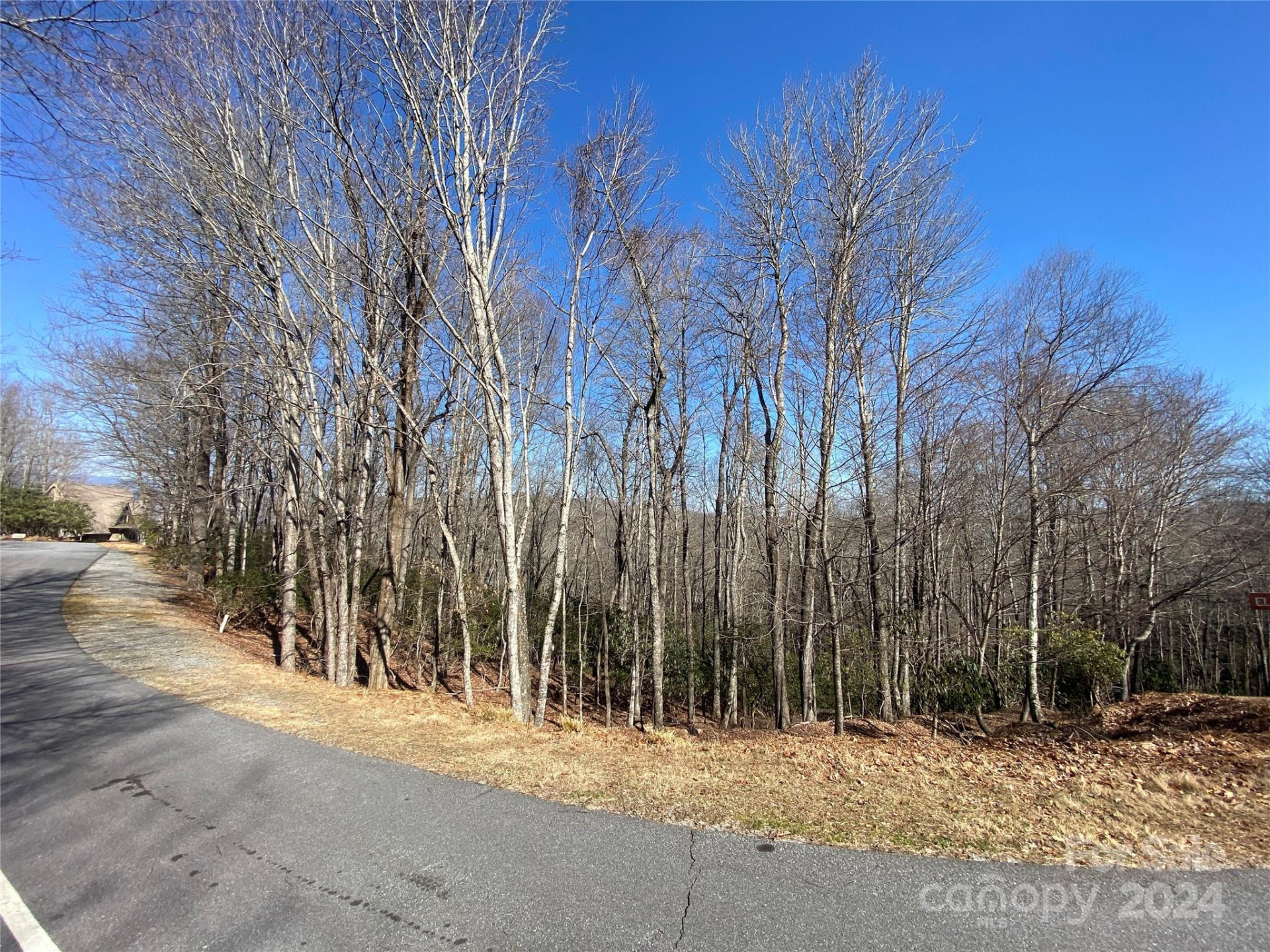 TBD Elaqua Court #54 & 55A/26 - Photo 11