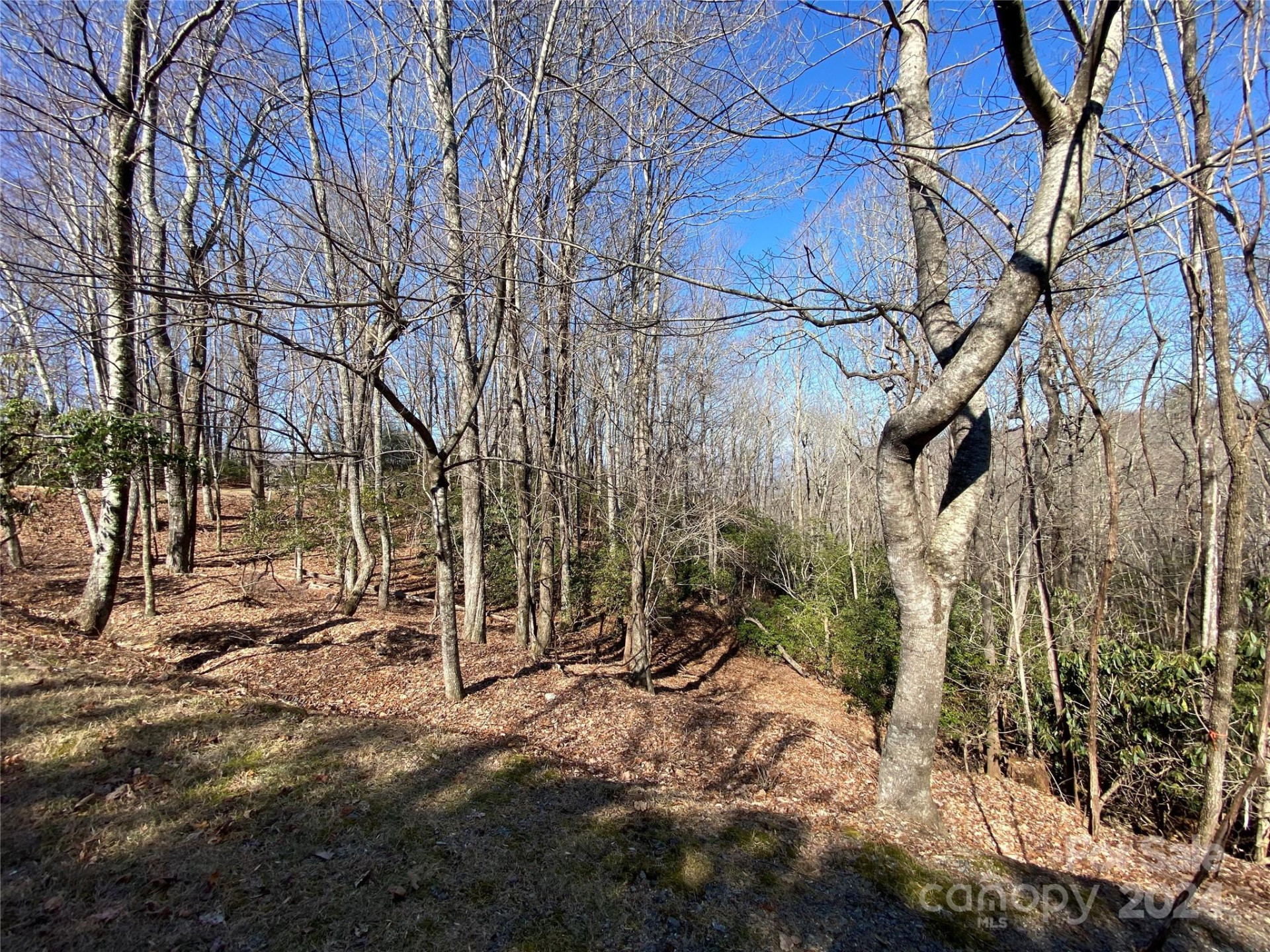 TBD Elaqua Court #54 & 55A/26 - Photo 12