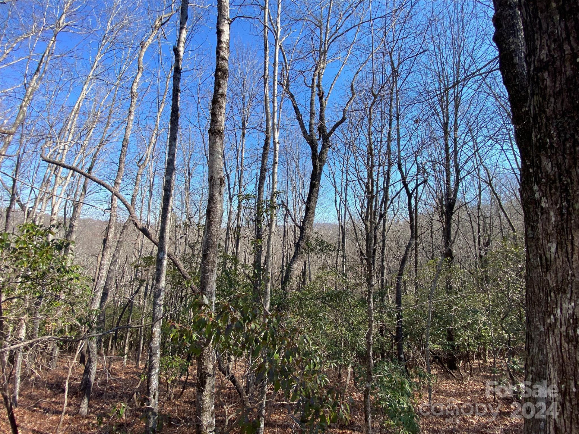 TBD Elaqua Court #54 & 55A/26 - Photo 13