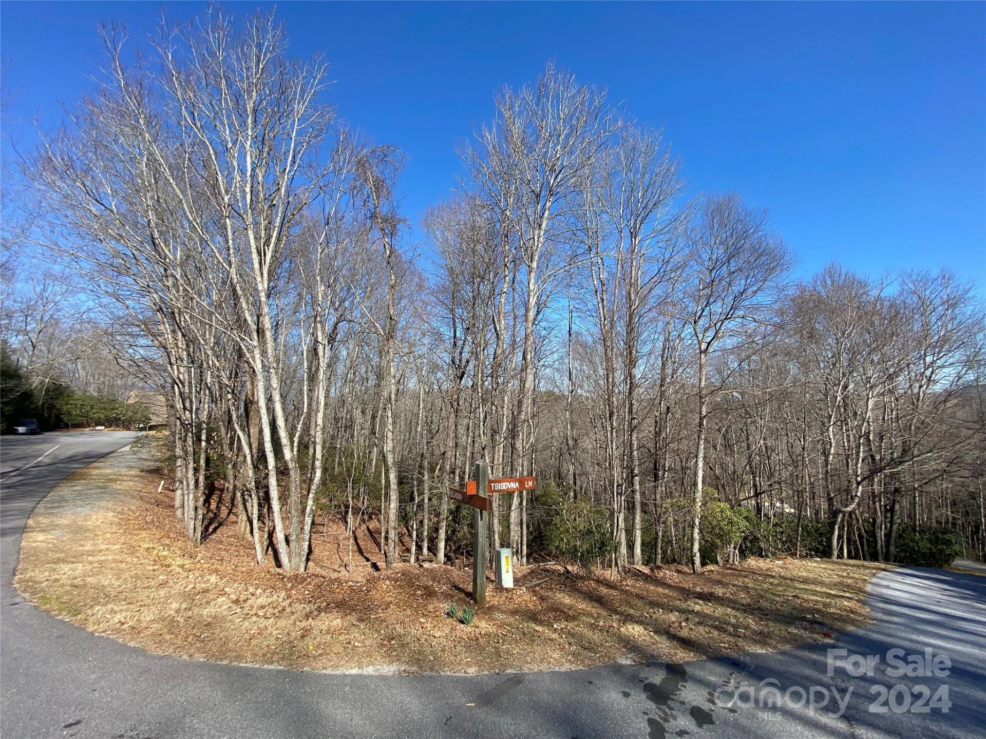 TBD Elaqua Court #54 & 55A/26 - Photo 4
