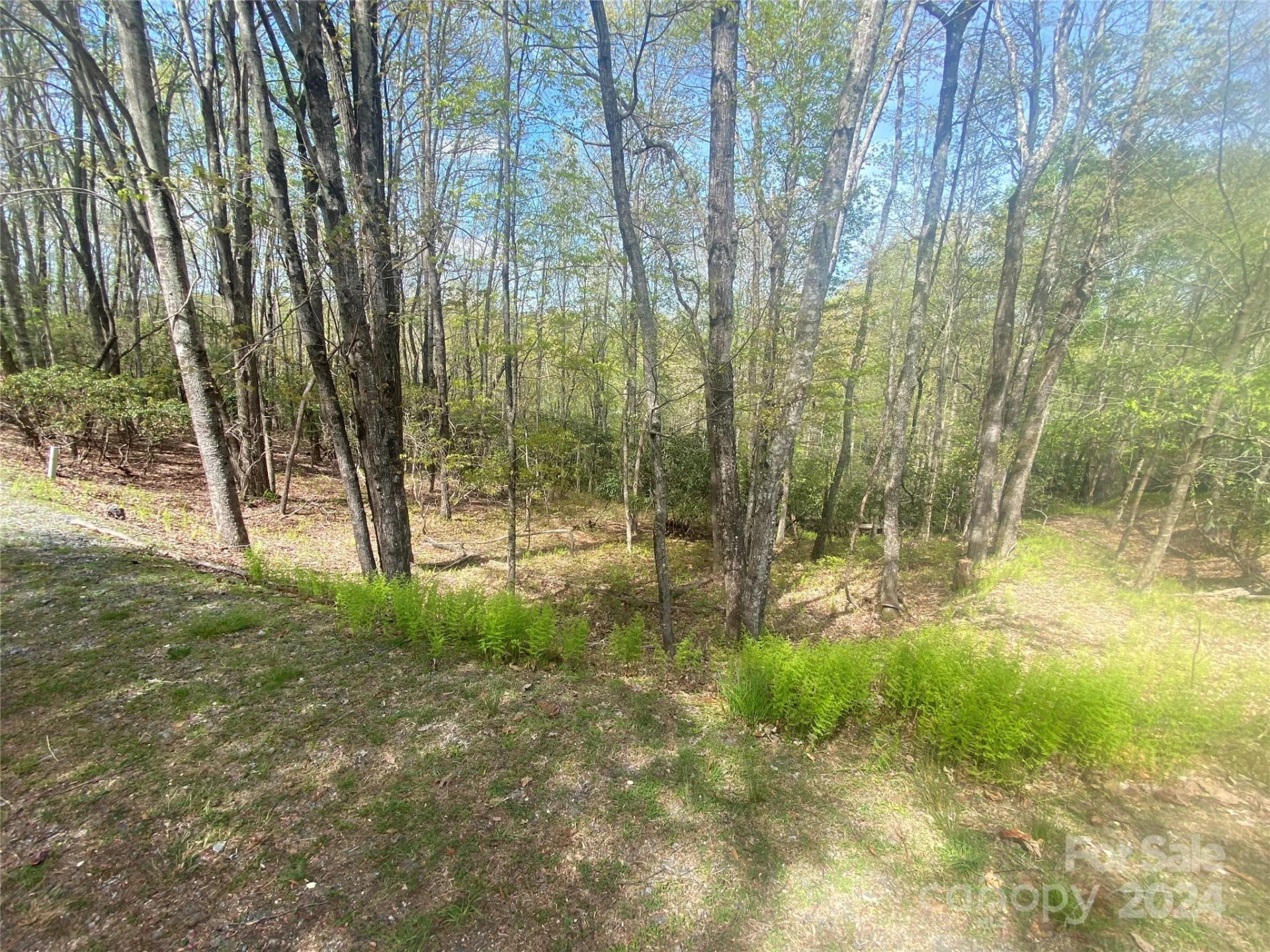 TBD Elaqua Court #54 & 55A/26 - Photo 6