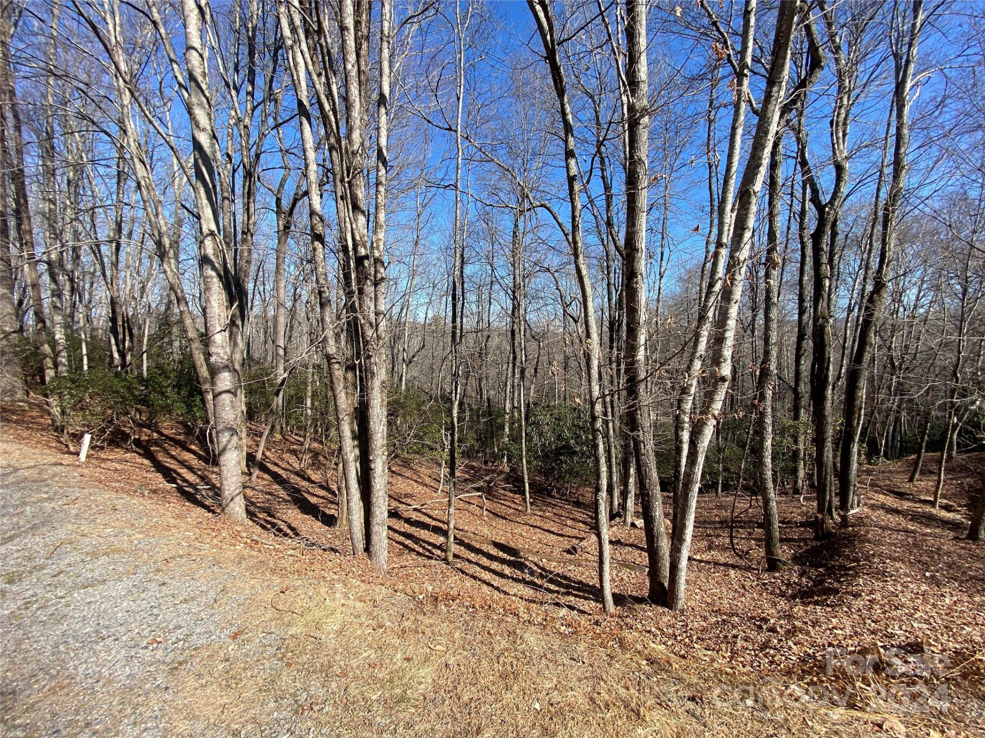 TBD Elaqua Court #54 & 55A/26 - Photo 9