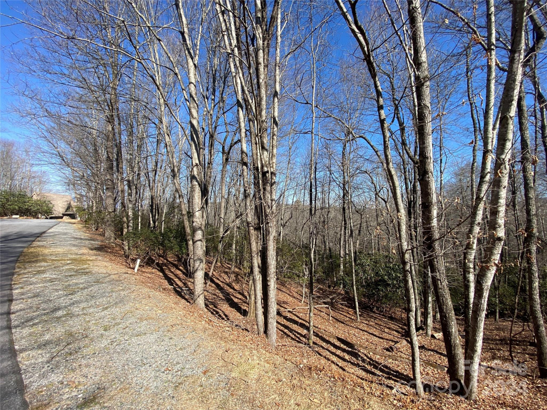 TBD Elaqua Court #54 & 55A/26 - Photo 10