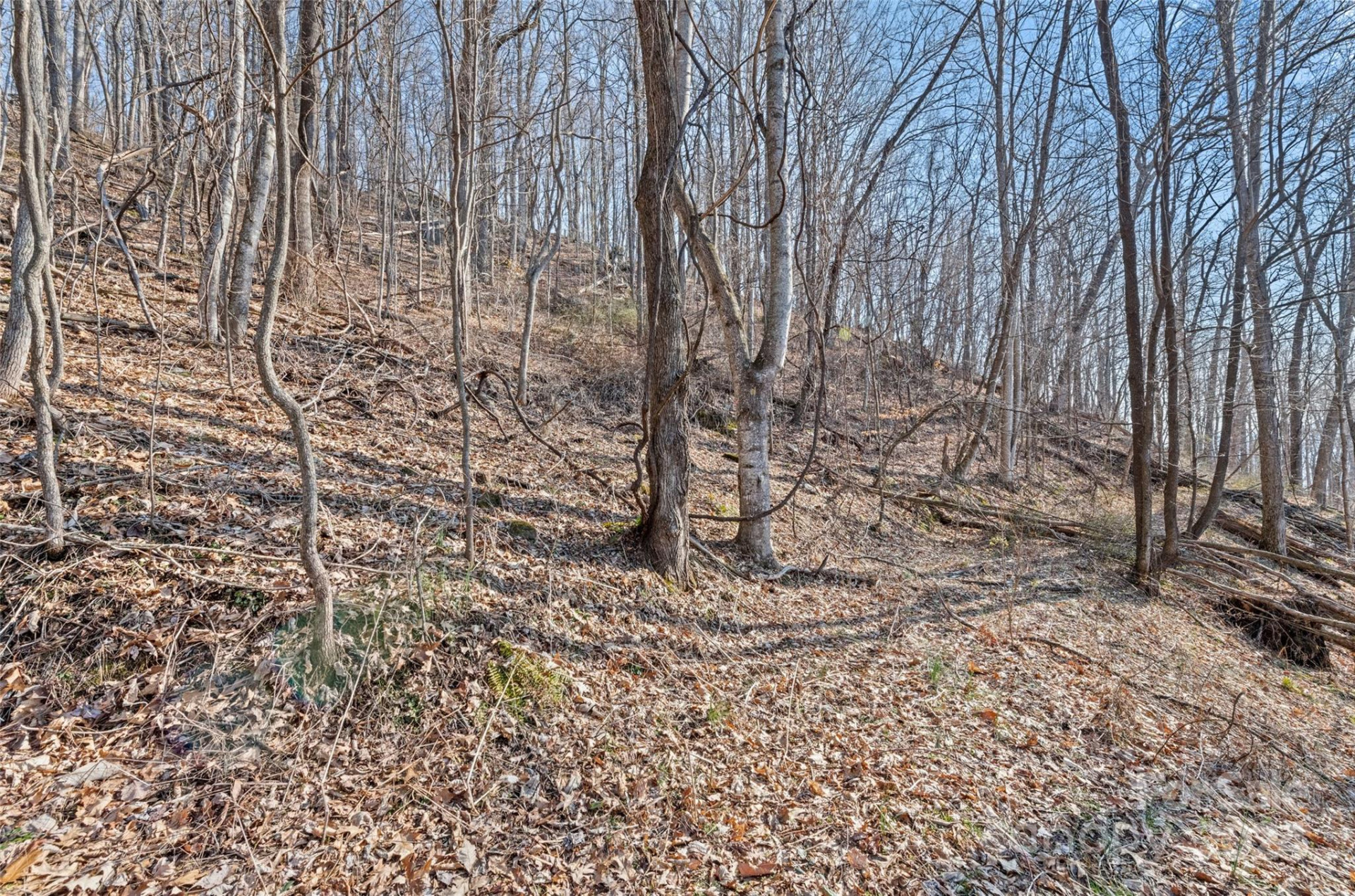 00 Purple Martin Lane - Photo 12